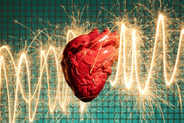 Salud Cardiovascular Salud Cardiovascular