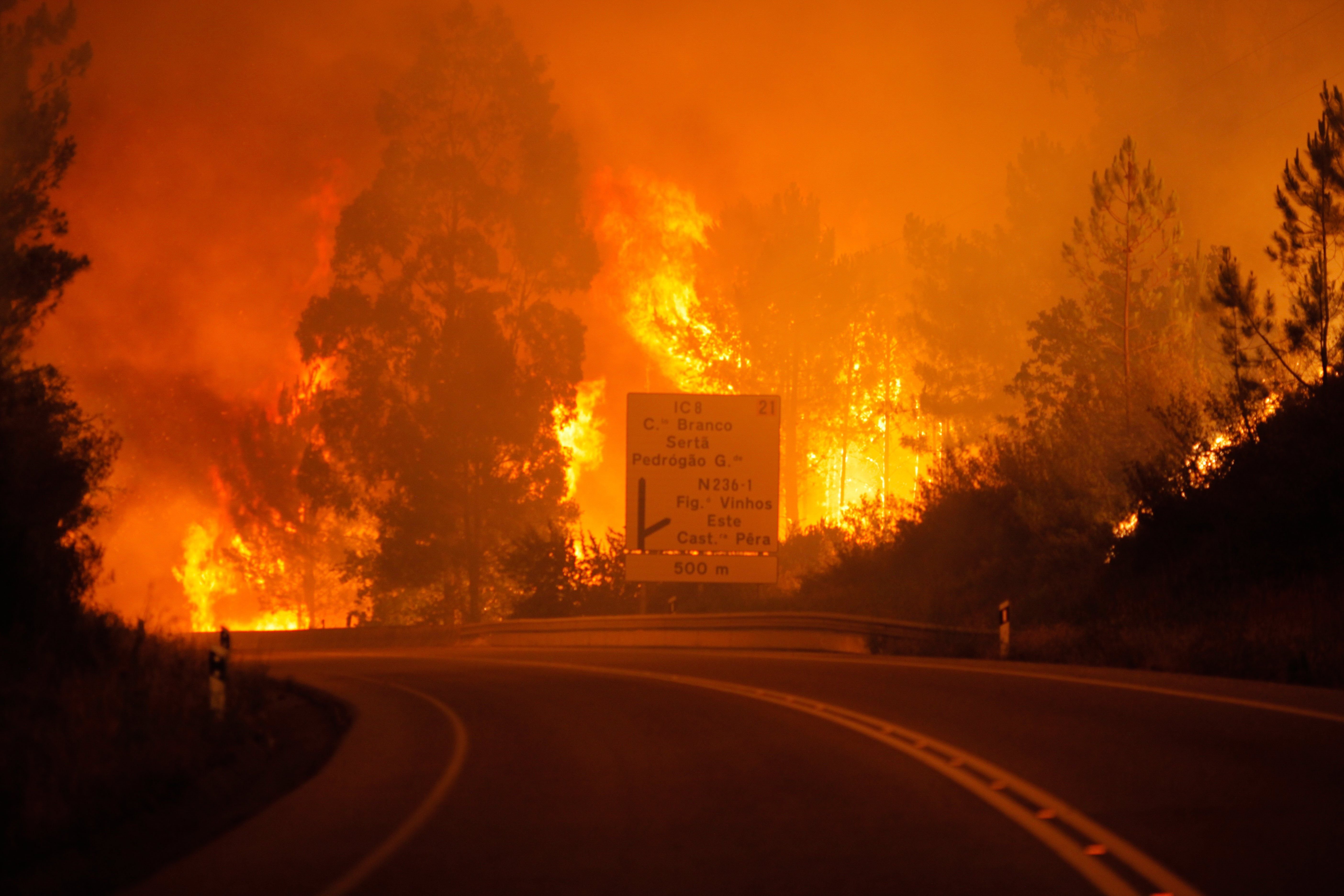 L'incendi de Portugal suma ja 62 víctimes mortals