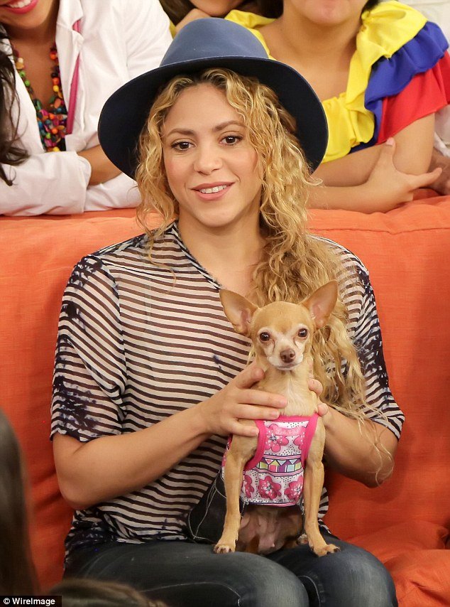 Shakira perro
