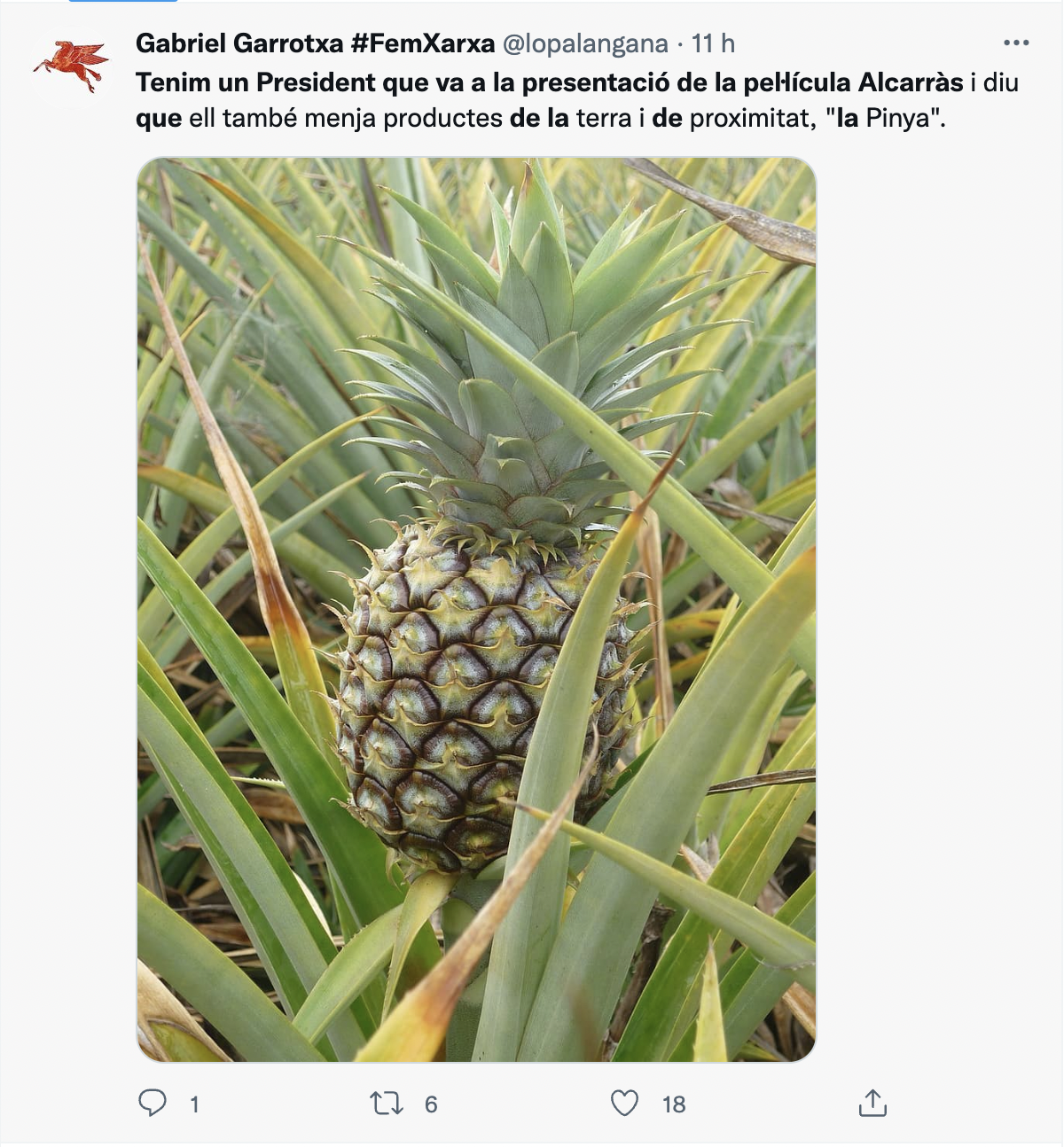 Captura tuit Captura tuit