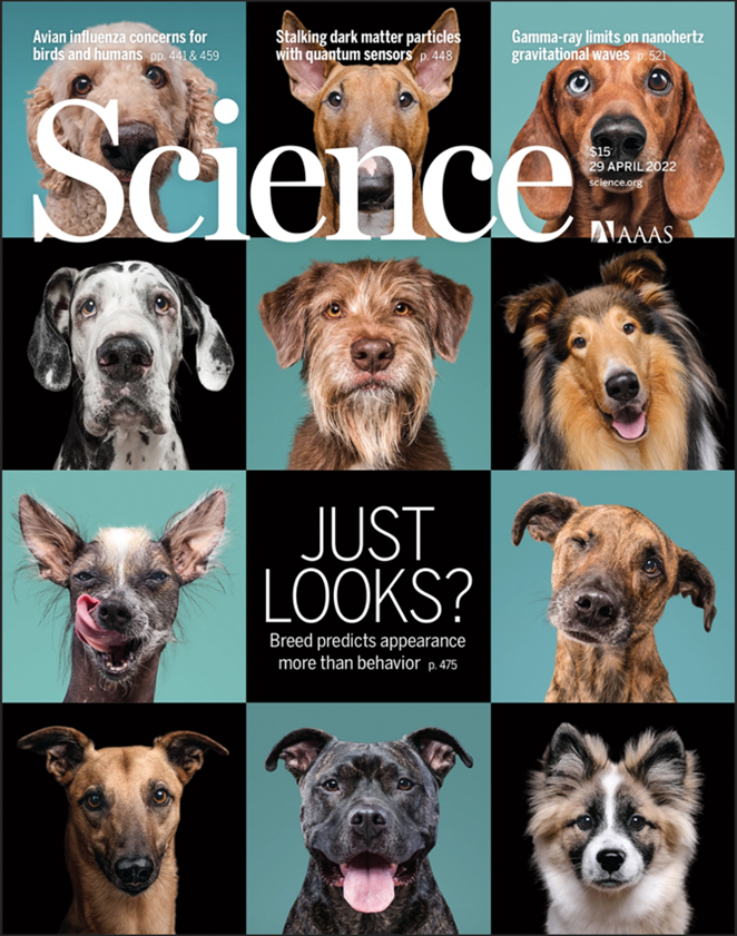 Portada de la revista Science 376(6592), 29 d’Abril de 2022