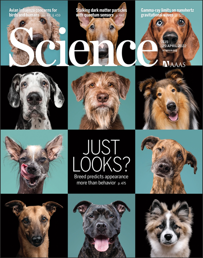 Portada de la revista Science 376(6592), 29 d’Abril de 2022 Portada de la revista Science 376(6592), 29 d’Abril de 2022