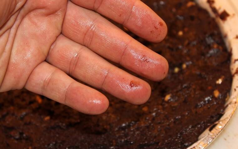 brownie pas29 brownie pas29