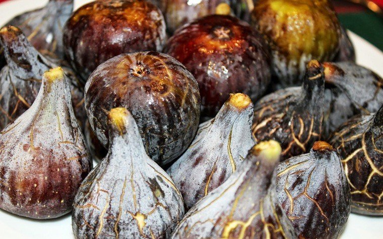 figues fresques moscatell pas1