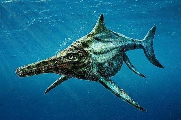 Ictiosaurio Ictiosaurio