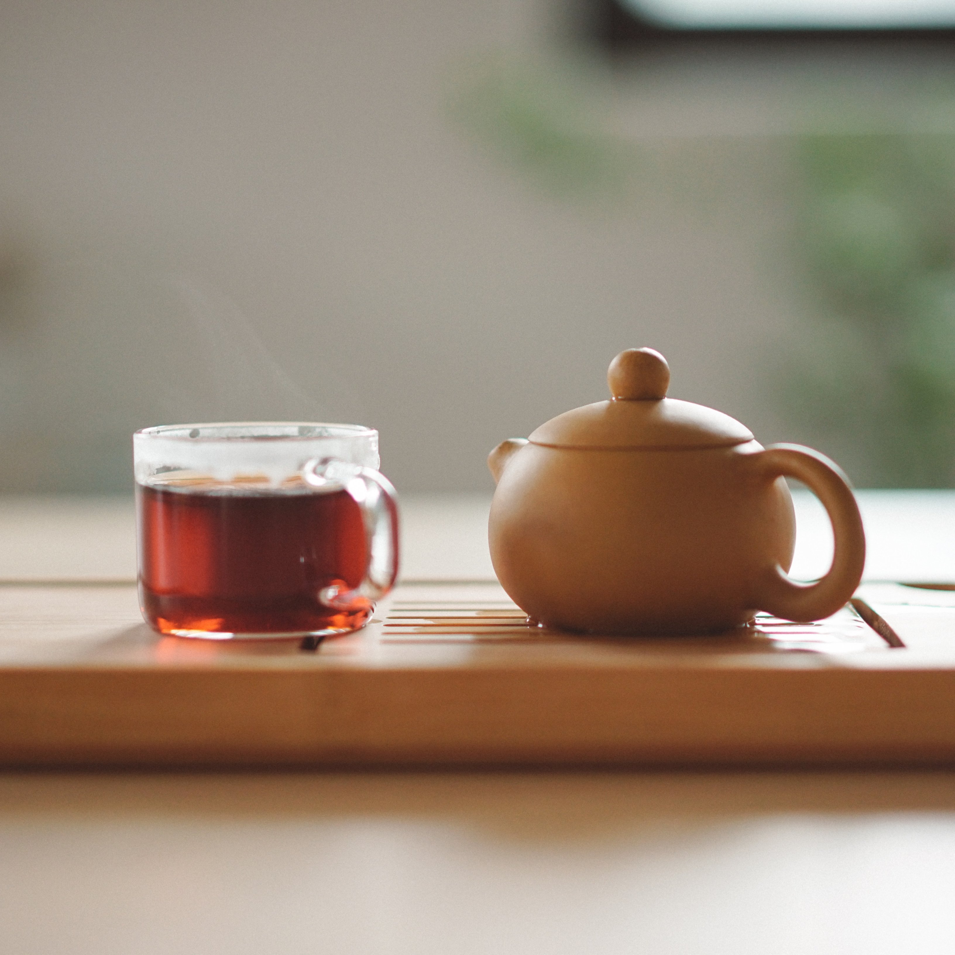 Beneficios para la salud de los distintos tipos de té