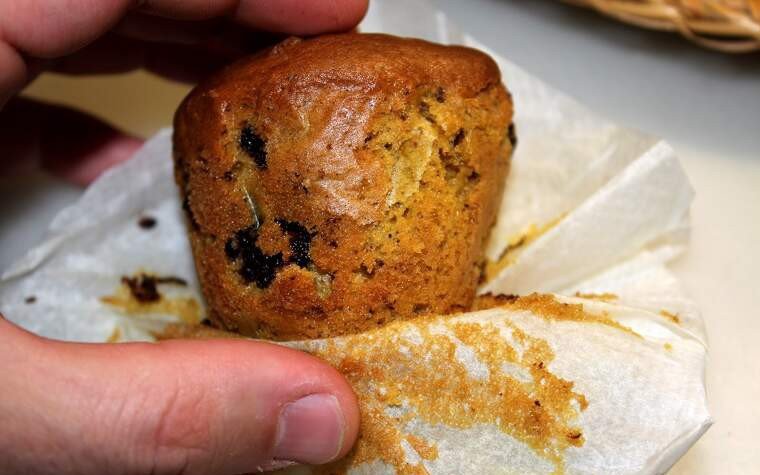 muffins nous xocolata pas38