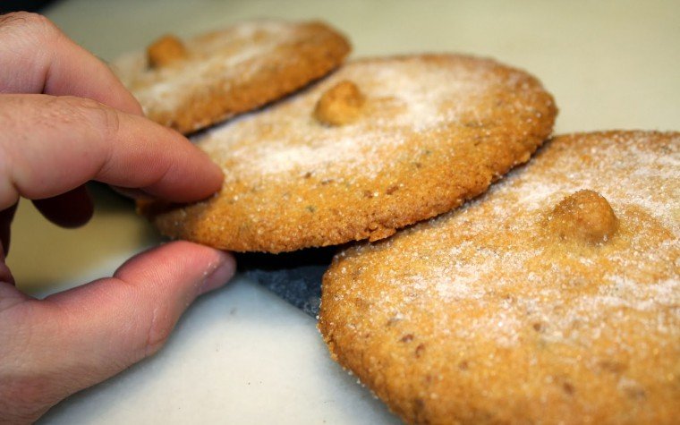 panoli pas18 panoli pas18