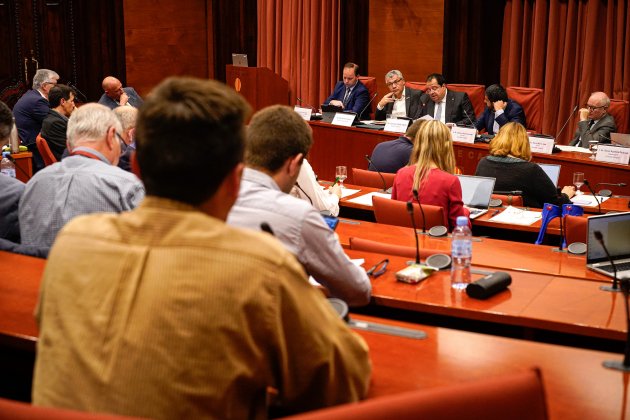 Vivet Parlament Vivet Parlament