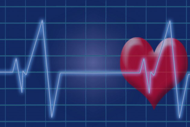 Batecs del corazón : Pixabay Batecs del corazón : Pixabay