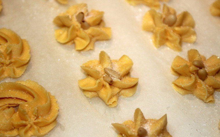 pasta seca kisper llagrima suis pas26 pasta seca kisper llagrima suis pas26