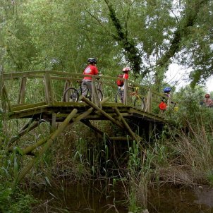 Ruta dels Estanys, pont de “Da Vinci” sobre a Mugueta Ruta dels Estanys, pont de “Da Vinci” sobre a Mugueta