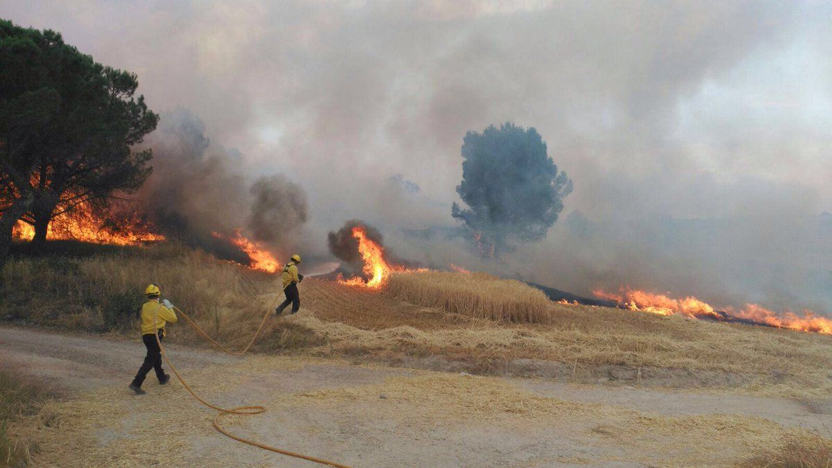 Extinguido el incendio de vegetación de Montmaneu