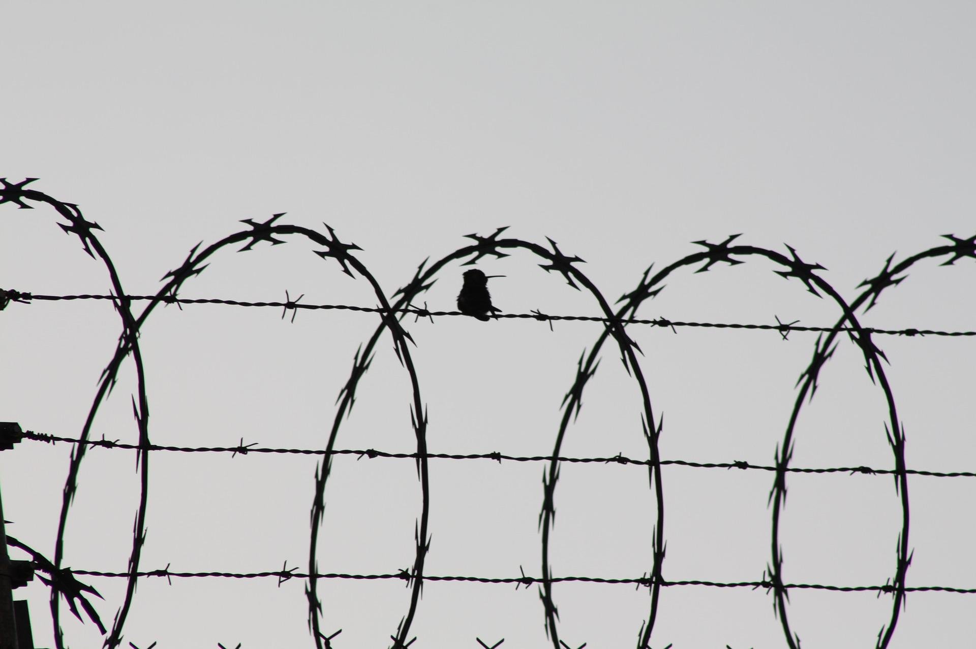 prision carcel pixabay