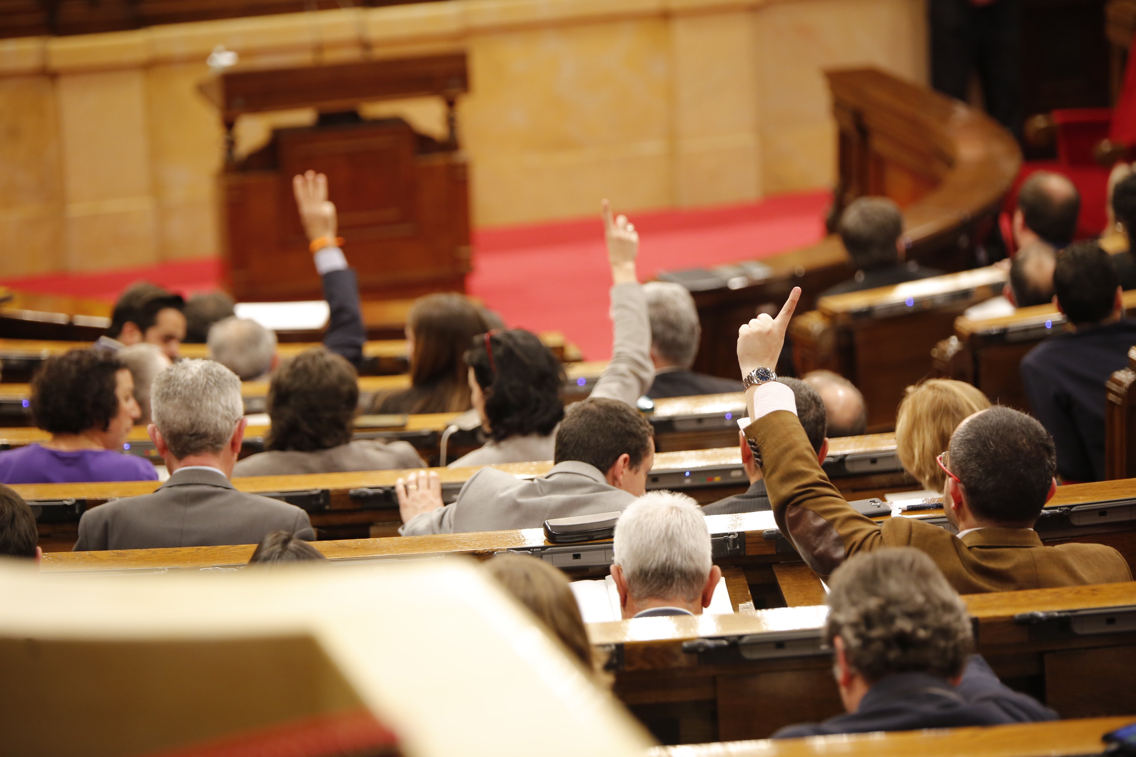 Document: les al·legacions del Parlament per la investidura