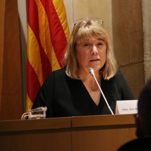 Garriga: el TSJC "s'extralimita" perquè el castellà gaudeix d'una "perfecta salut"
