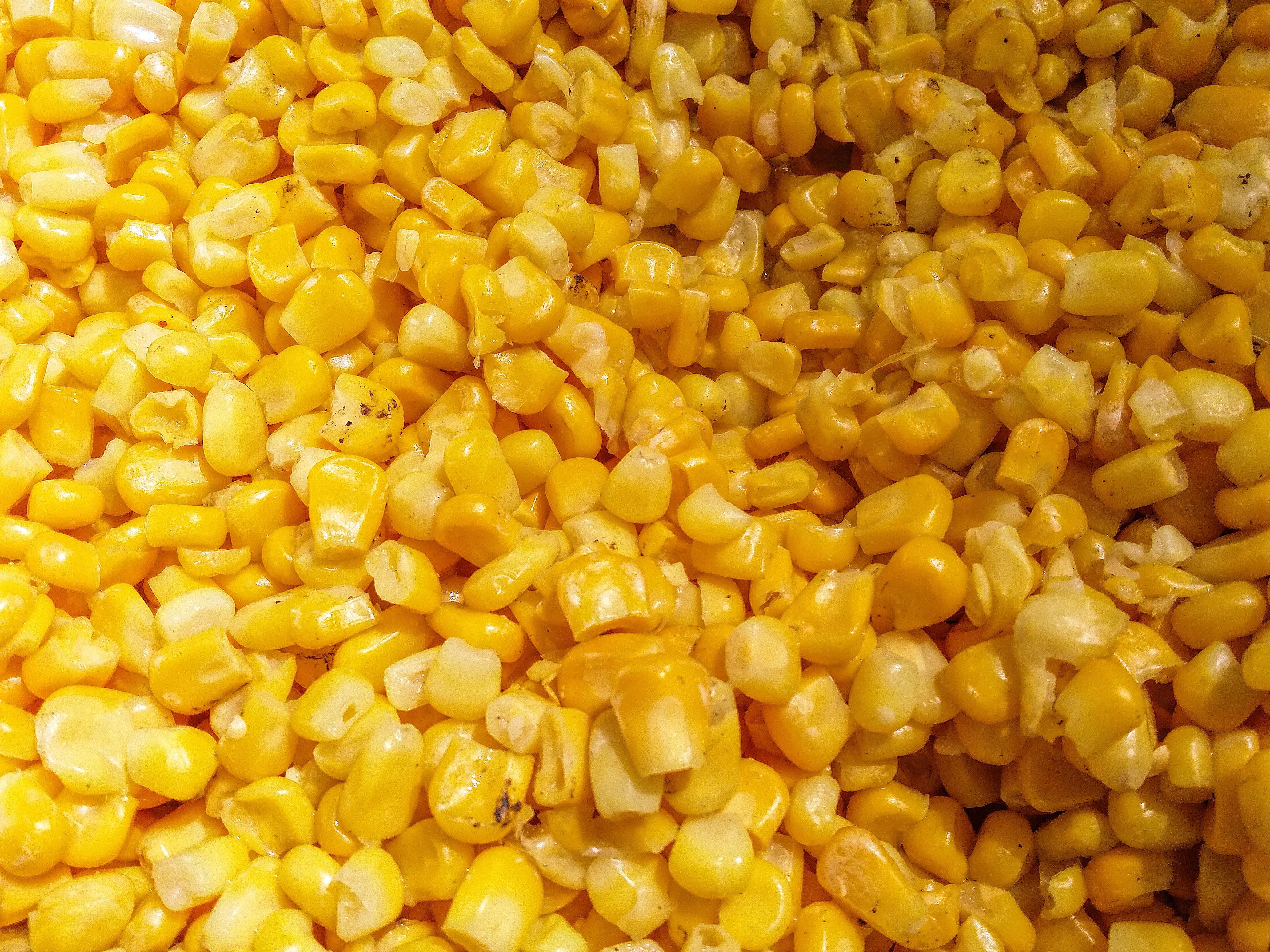 Maíz dulce : Pixabay Maíz dulce : Pixabay