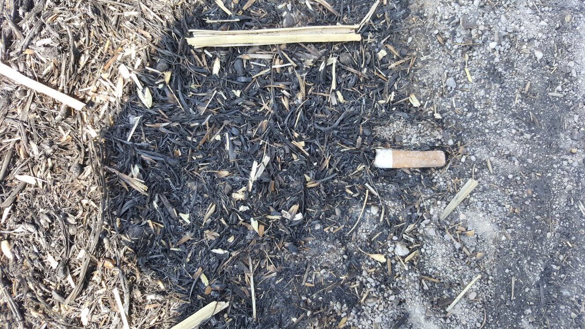 Una cigarreta, possible causa del foc de Sant Fruitós de Bages