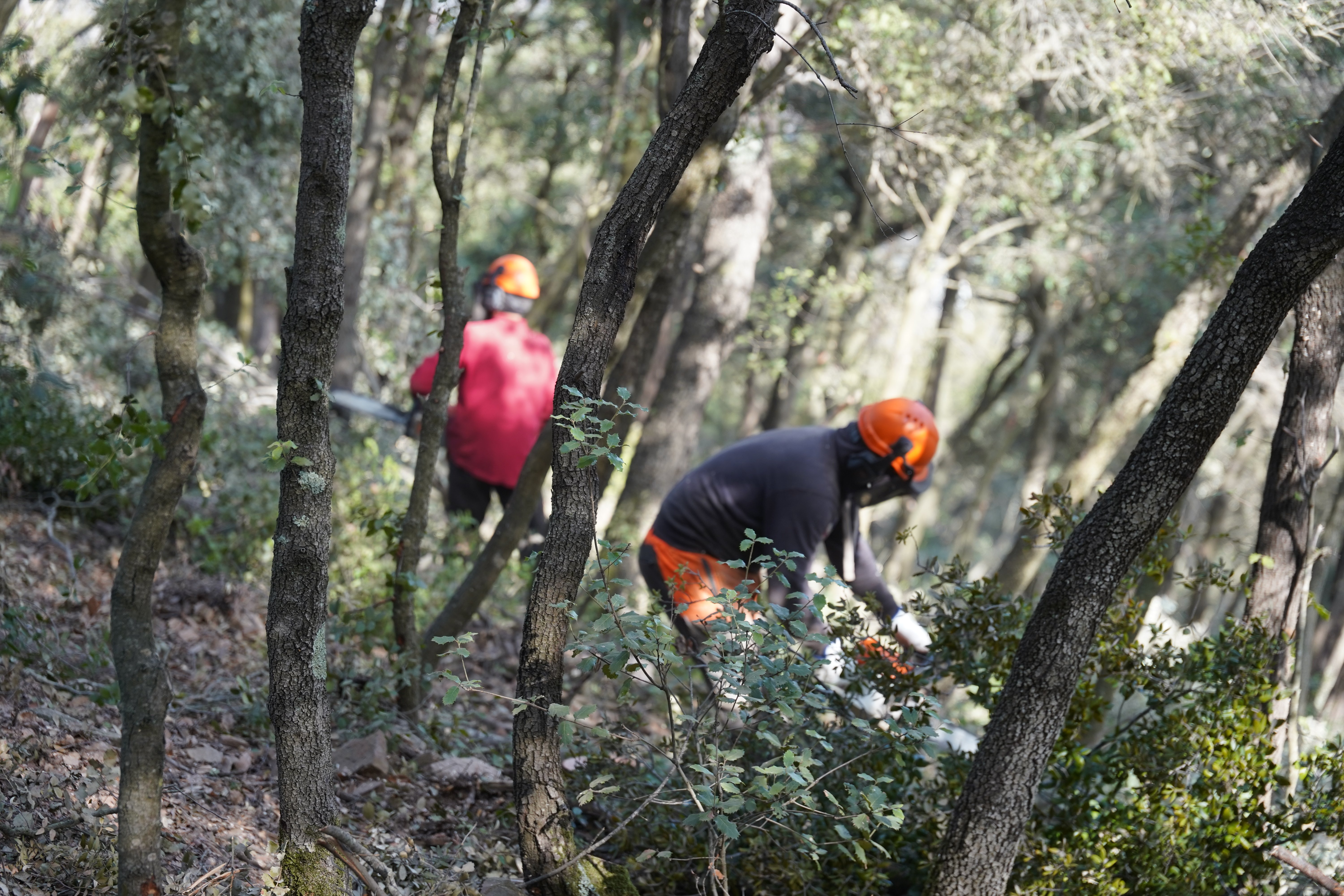 Todo a punto para la campaña de prevención de incendios del AMB en Collserola