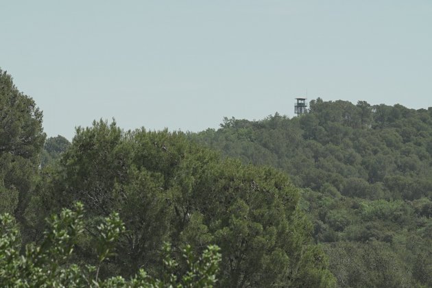 torre vigilancia collserola foto con torre vigilancia collserola foto con