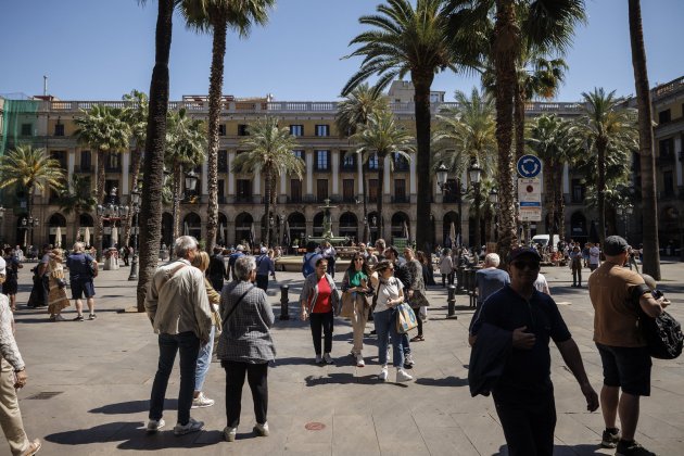 Turismo en Barcelona plaza Real cerveza terraza bar - Sergi Alcàzar