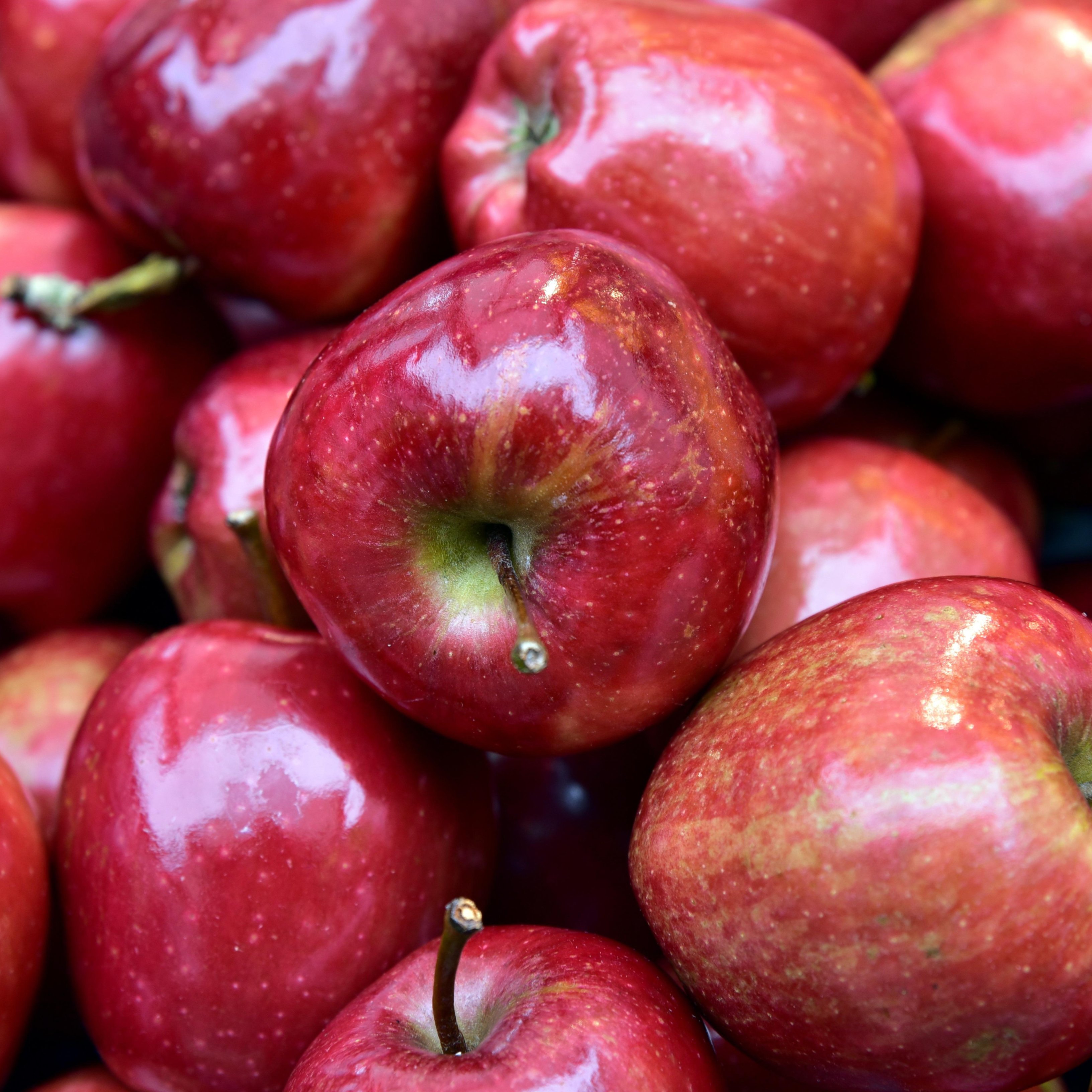 Una empresa valenciana idea un sistema para mejorar la conservación de la fruta con agua electrolizada