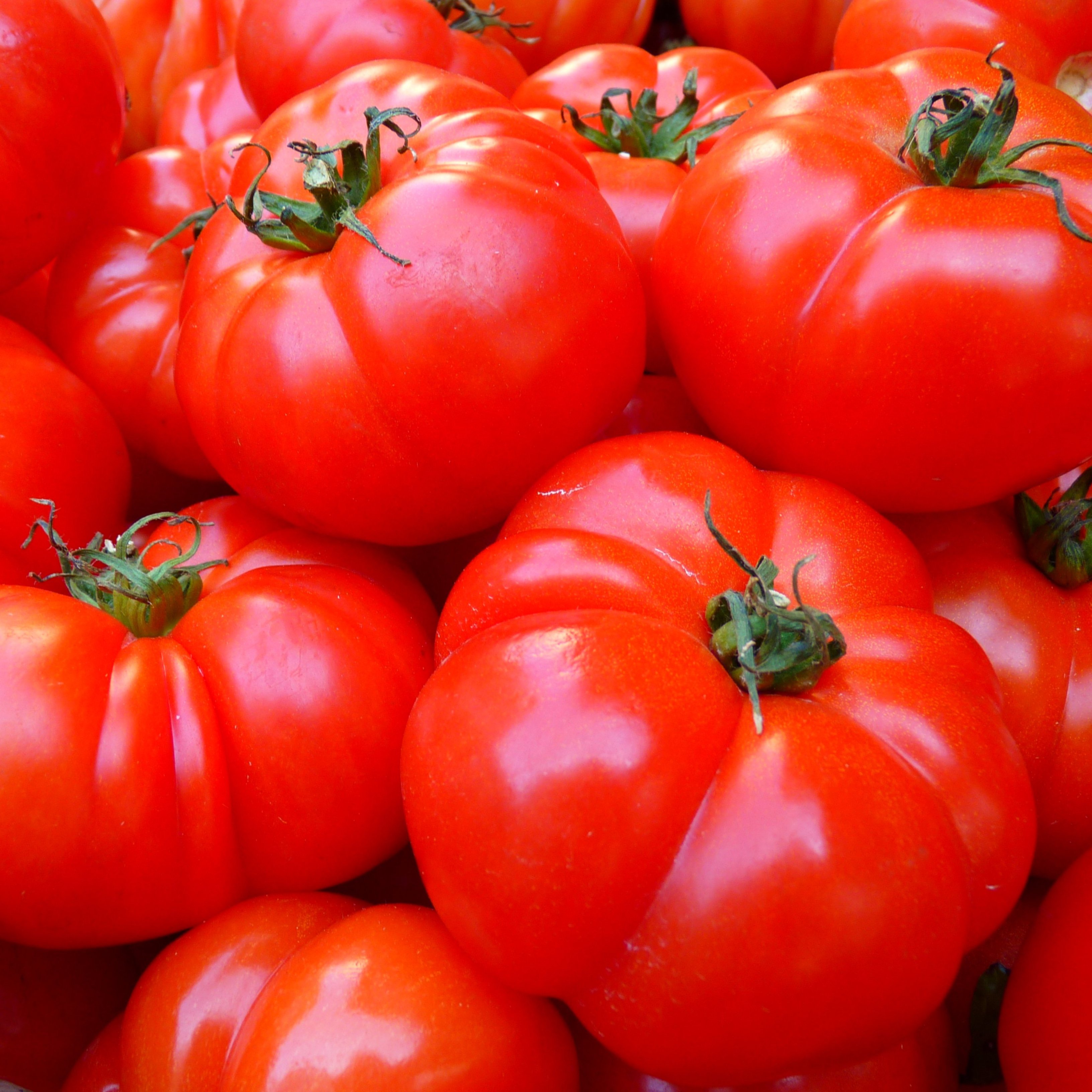 Cuáles son las ventajas que ofrecen los tomates para la salud