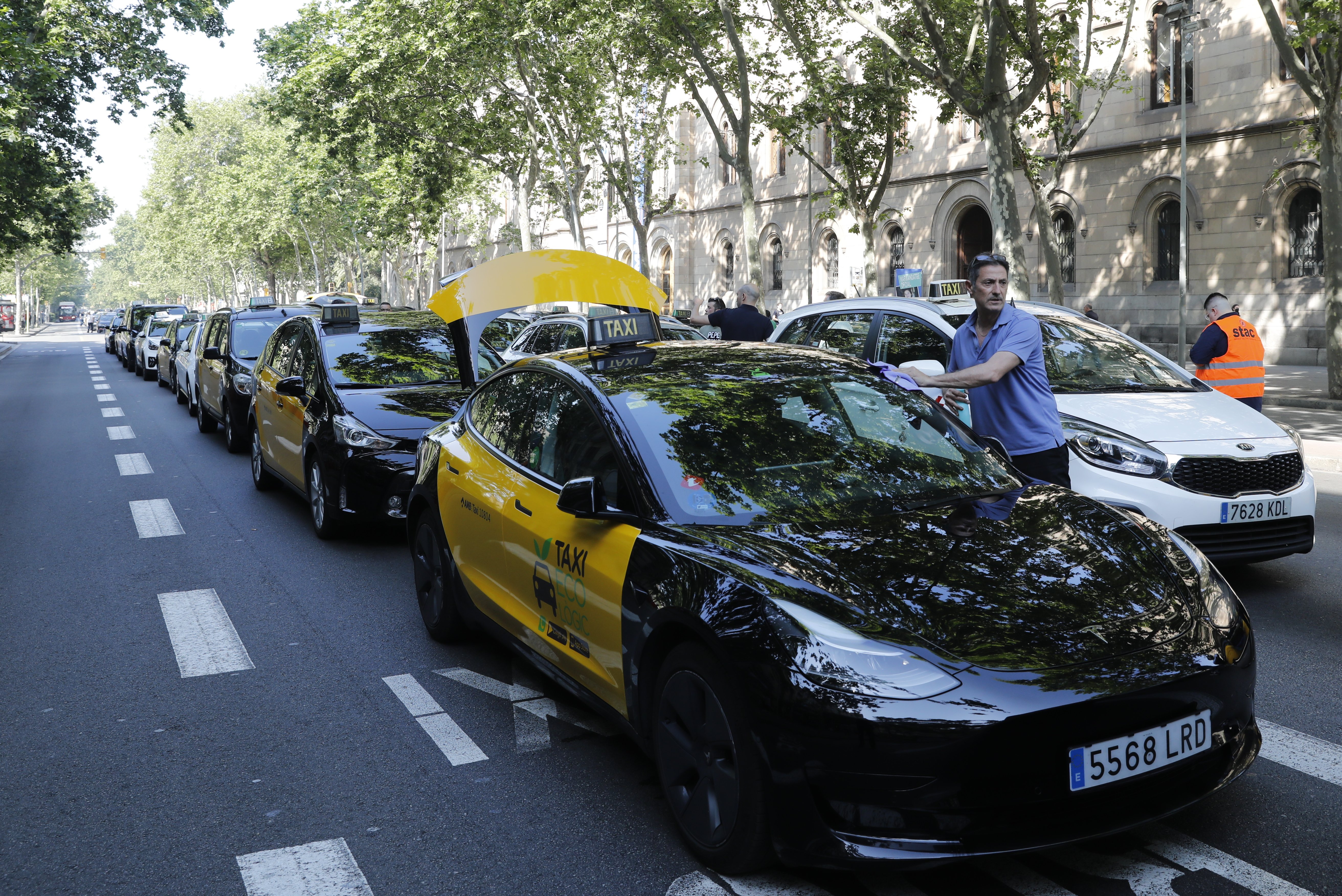 Els taxistes avisen: “D’aquí a un any hi ha eleccions, tenim 40.000 vots i memòria”