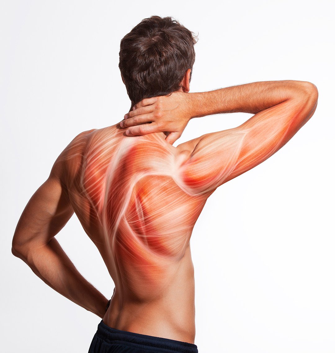 Como evitar y rebajar el dolor muscular que afecta a tantas personas