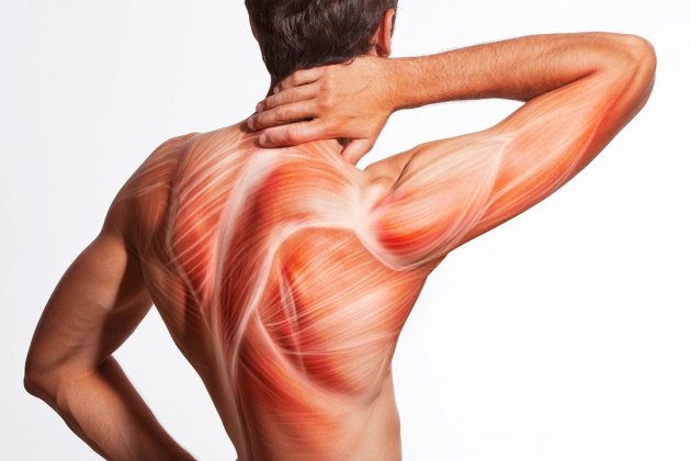 Dolor Muscular Dolor Muscular