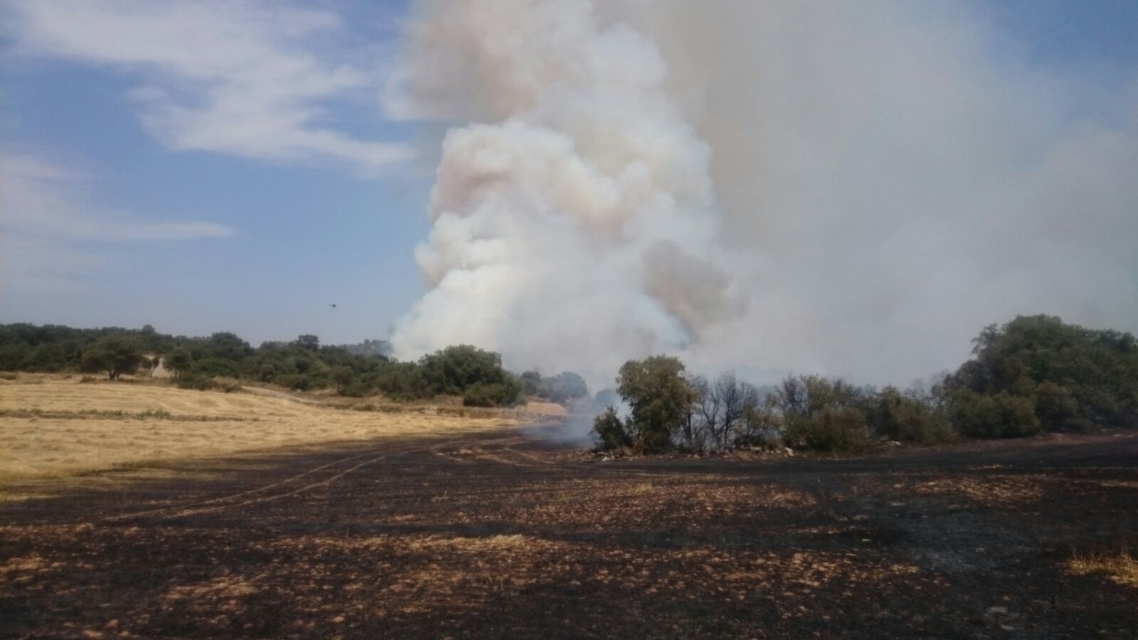 Petits incendis a causa de la calor