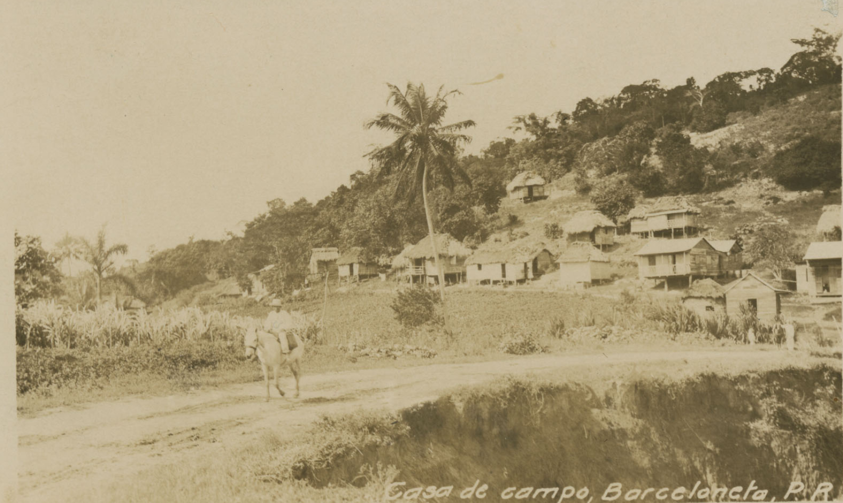 Las afueras de Barceloneta. Fuente Wikimedia Commons