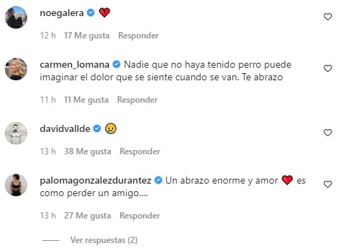 Reacciones muerte Trabes perro Jorge Javier Twitter