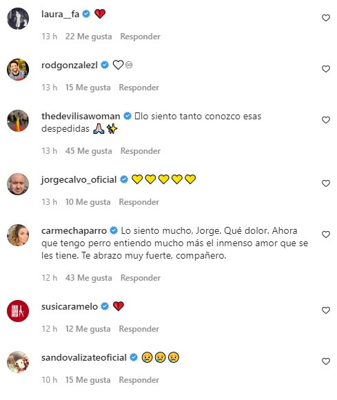 Reacciones muerte Trabes perro 2 Jorge Javier Twitter Reacciones muerte Trabes perro 2 Jorge Javier Twitter