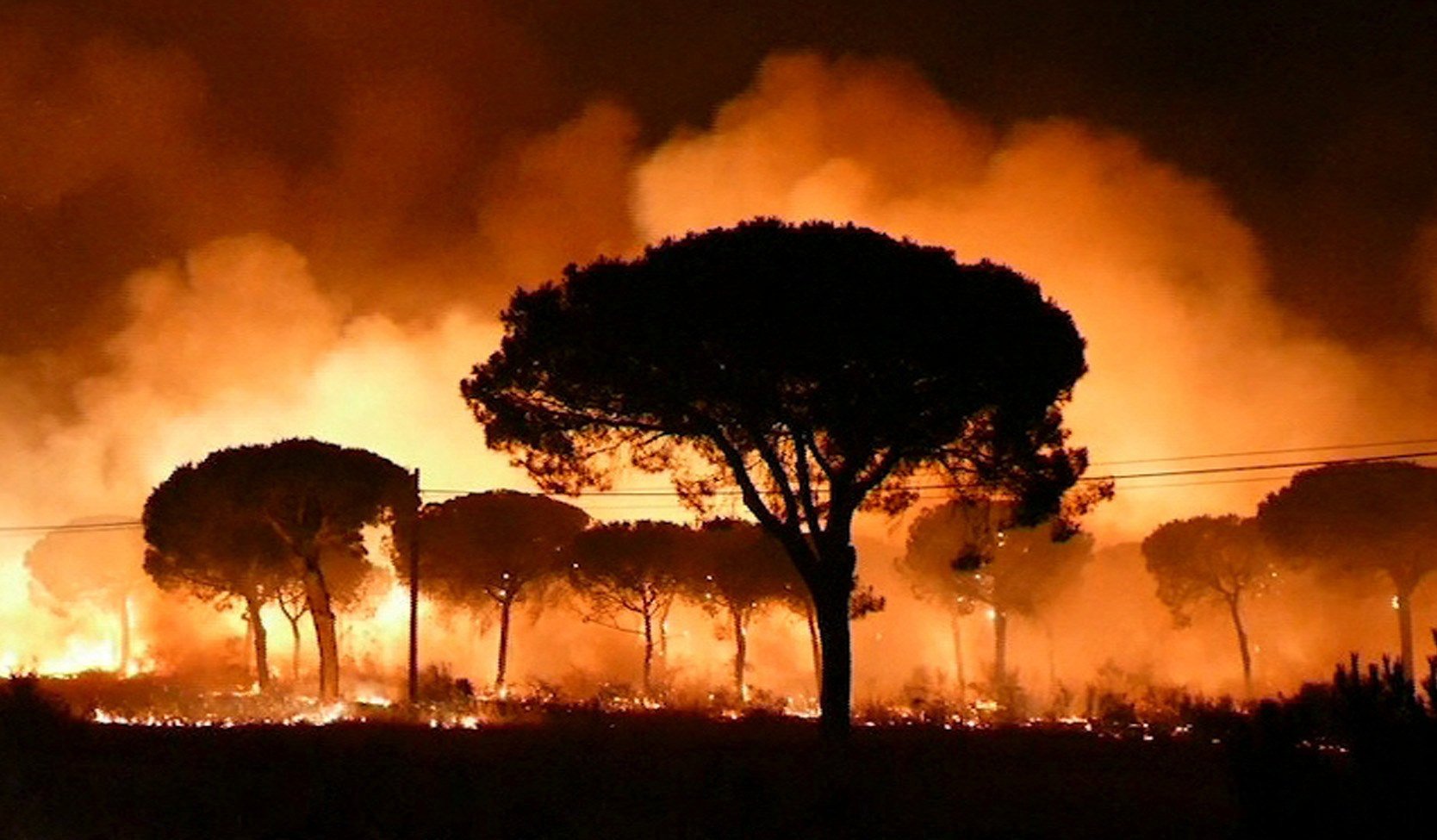 El incendio de Moguer llega al parque de Doñana