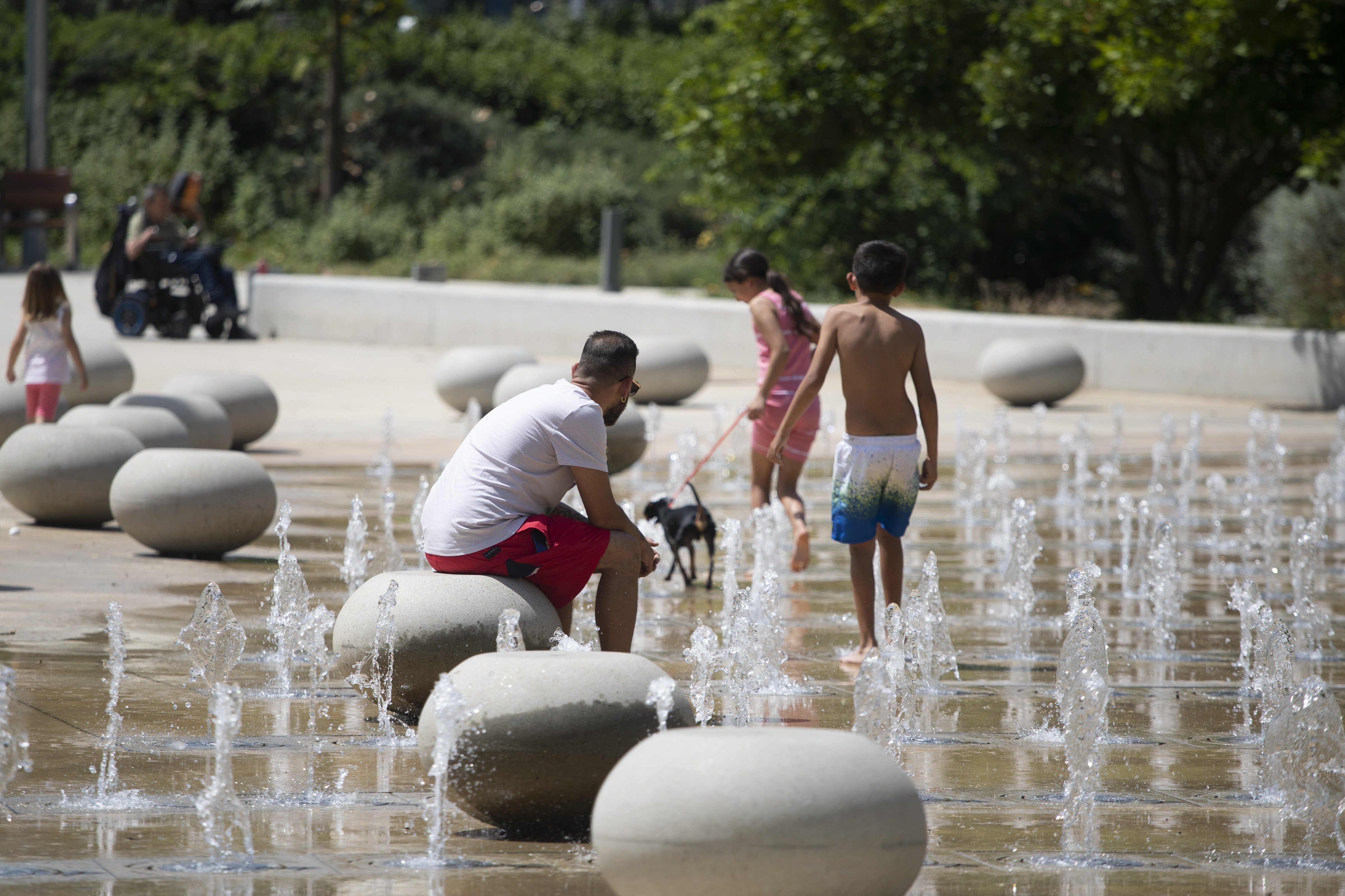 Temperaturas récord en 57 estaciones meteorológicas de Catalunya