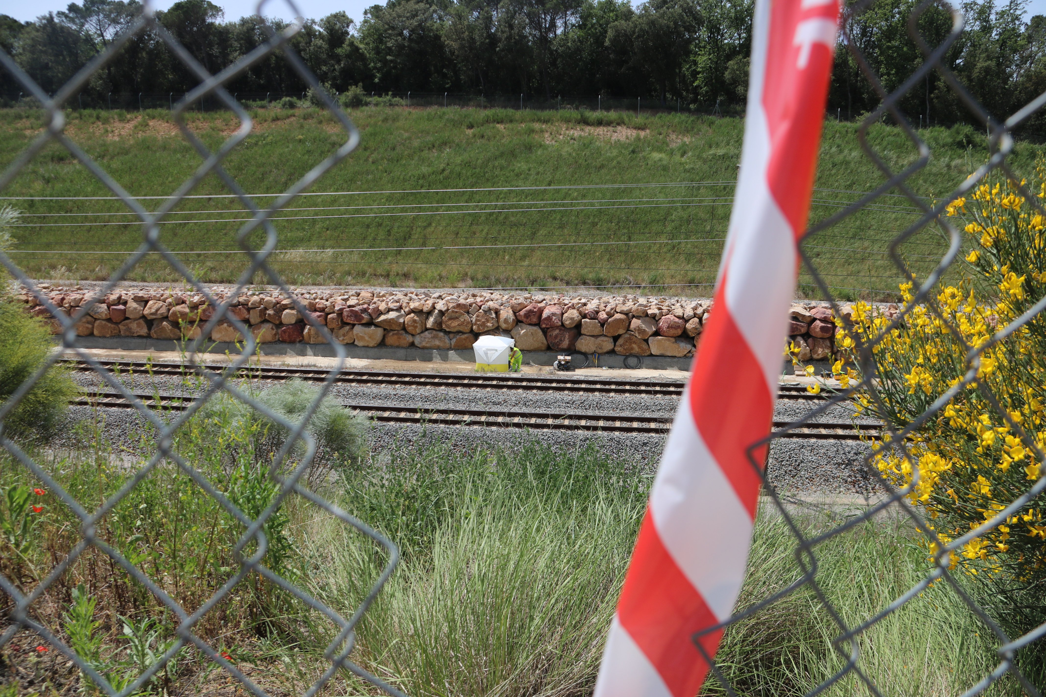 Retrasos de hasta 45 minutos en los trenes de alta velocidad Barcelona-Figueres