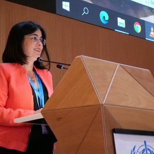 Aumentan hasta 36 los casos confirmados de viruela del mono en España
