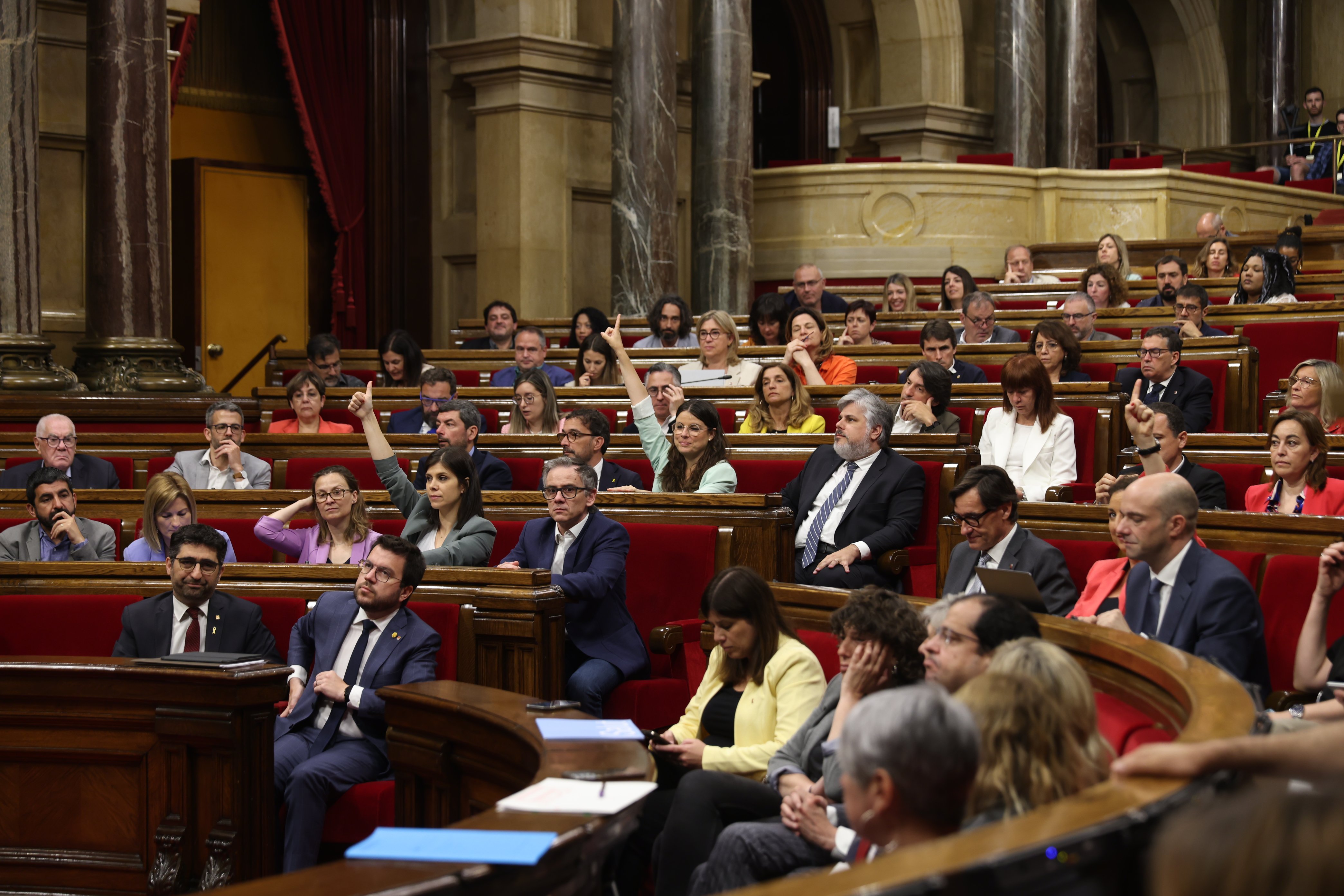 La llei sobre el català supera la primera votació amb el sí del 77% del Parlament