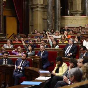 La ley sobre el catalán supera la primera votación con el sí del 77% del Parlament