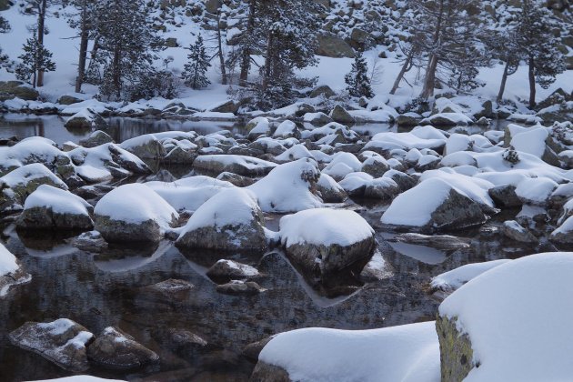 Paisatge nevat SM (5)