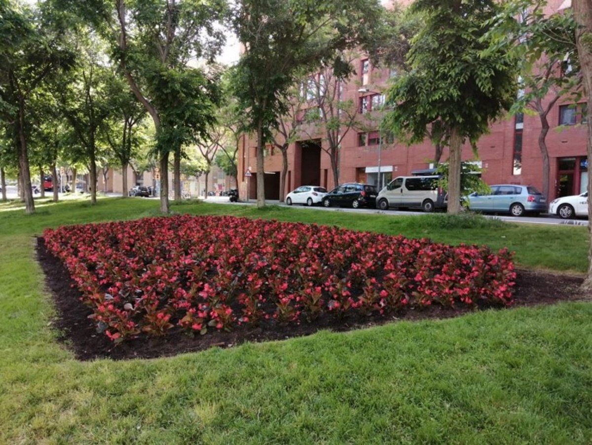 Barcelona invertirà 40 milions en el manteniment de l’espai públic