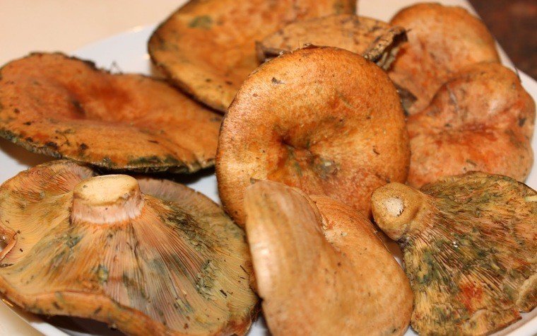 rovellons al forn pas1