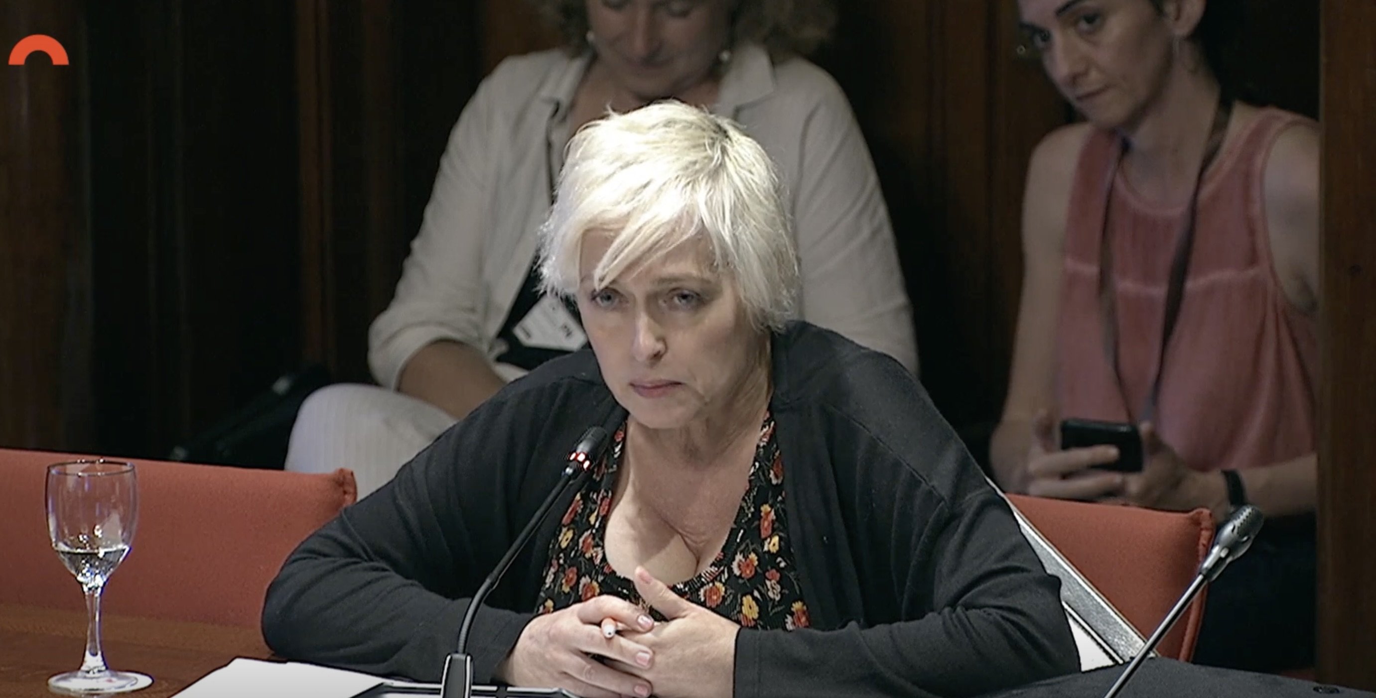 Anna Grau insulta i carrega contra PxLlengua: "Que es dissolgui i entregui les armes"