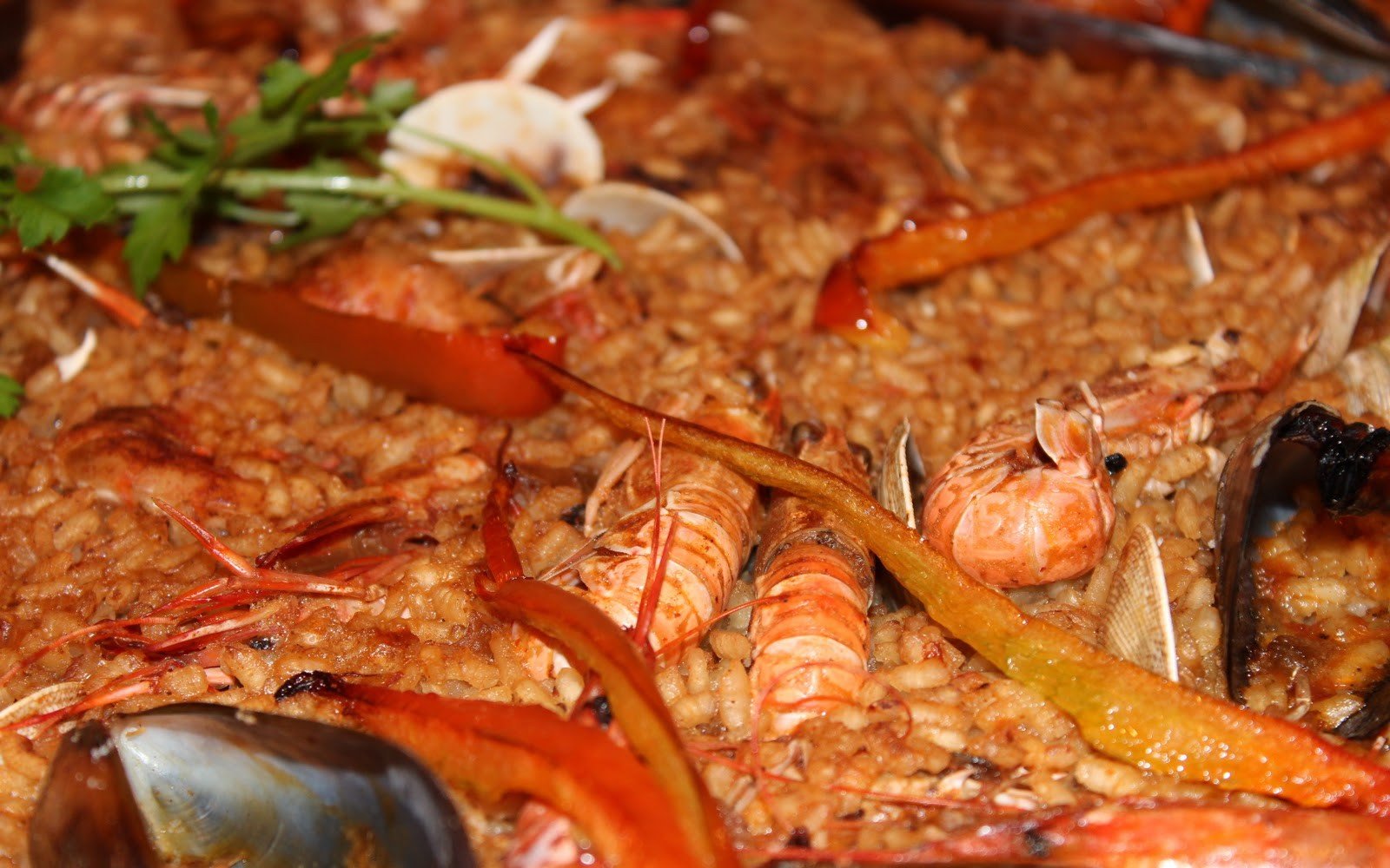 paella marisc pas44