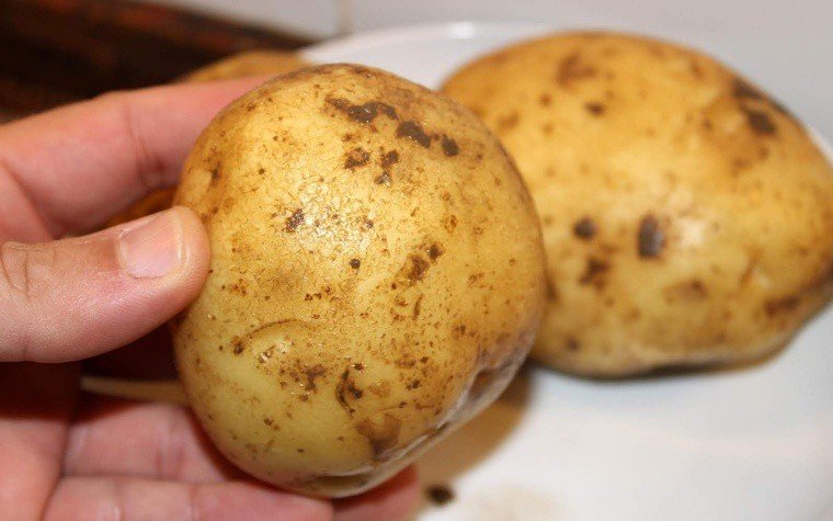 patates fredolics pas3