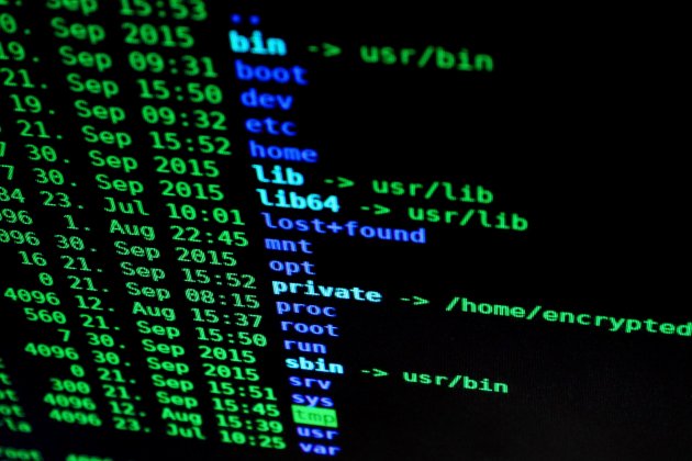 CiberseguridadPexels CiberseguridadPexels