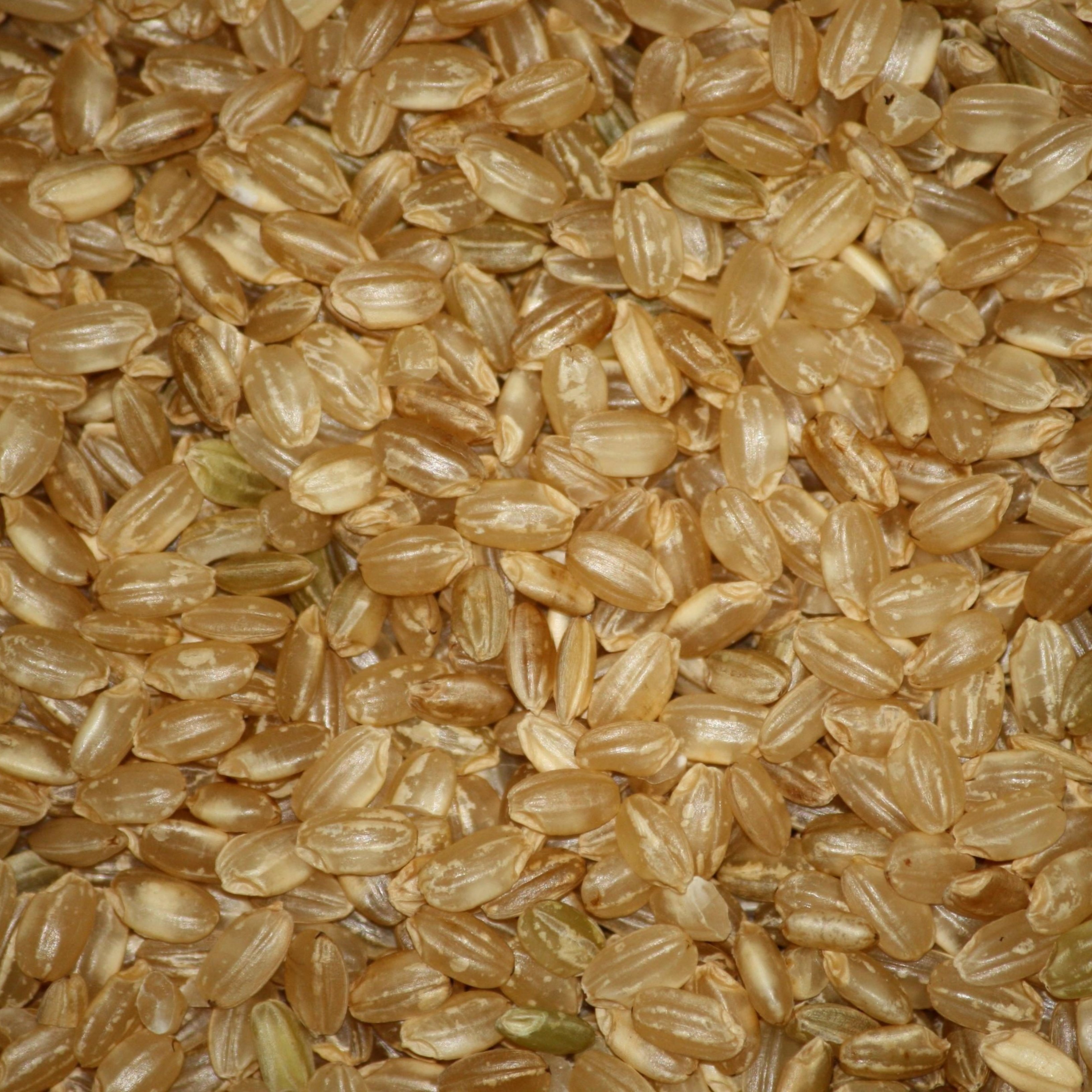 Per què hauries de menjar arròs integral: beneficis i propietats