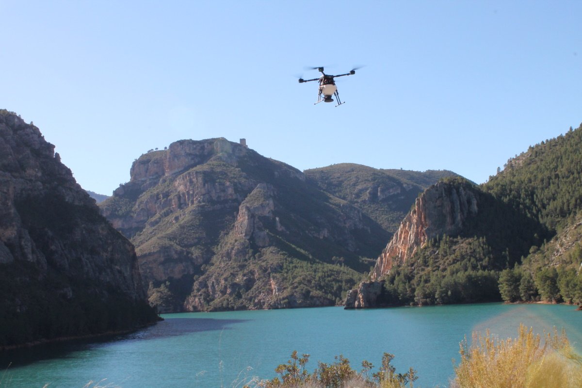 CO2 Revolution recupera més de 1.200 hectàrees de bosc perdut
