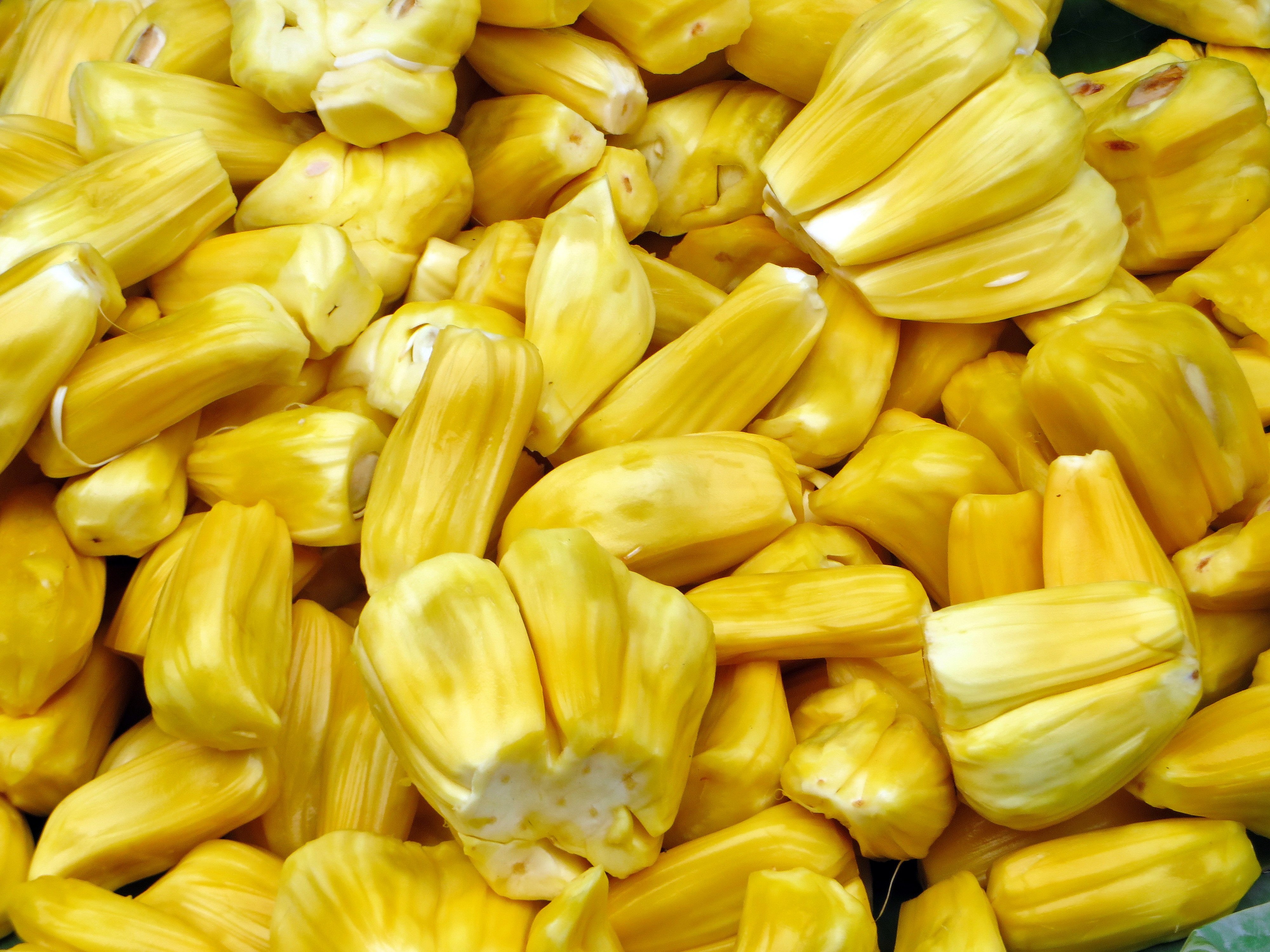 Jackfruit : Wikipedia Jackfruit : Wikipedia